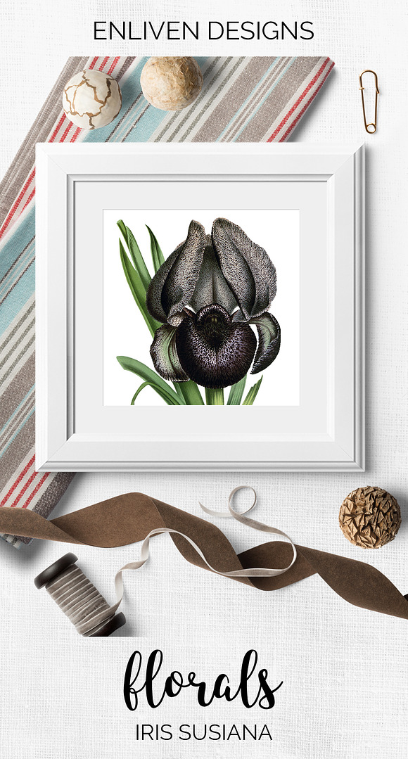 Iris Clipart Flower in Illustrations - product preview 7