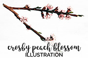 crosby peach blossom vintage flower