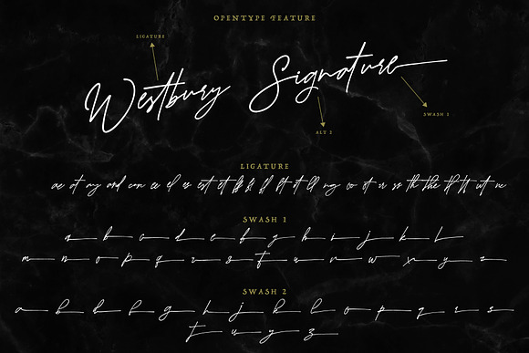 Westbury Signature in Script Fonts - product preview 6