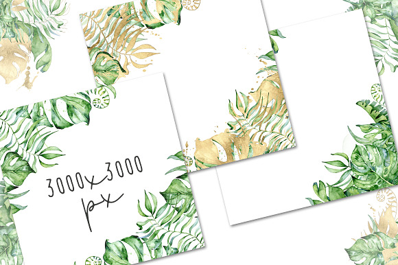 Tropical Arrangements watercolor  in Illustrations - product preview 4