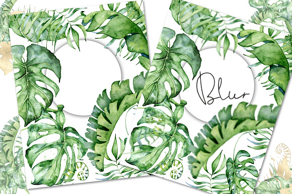 Tropical Arrangements watercolor  in Illustrations - product preview 5