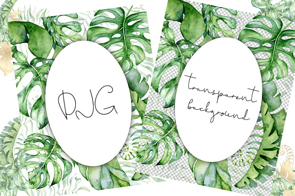 Tropical Arrangements watercolor  in Illustrations - product preview 6