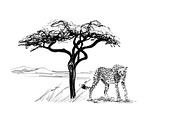 Cheetah near a tree in africa. Hand 