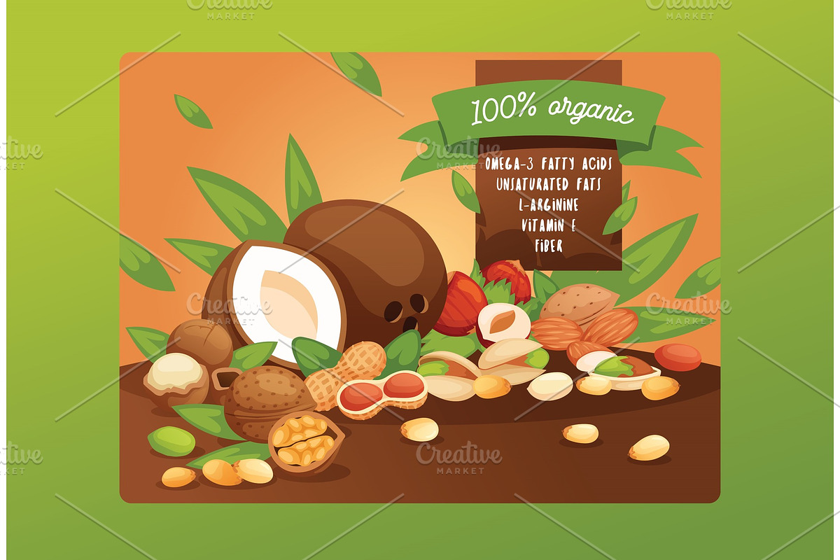 Nut vector nutshell of hazelnut in Illustrations - product preview 8