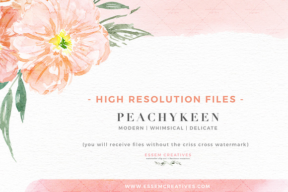 Pink Watercolor Flowers Background in Illustrations - product preview 5