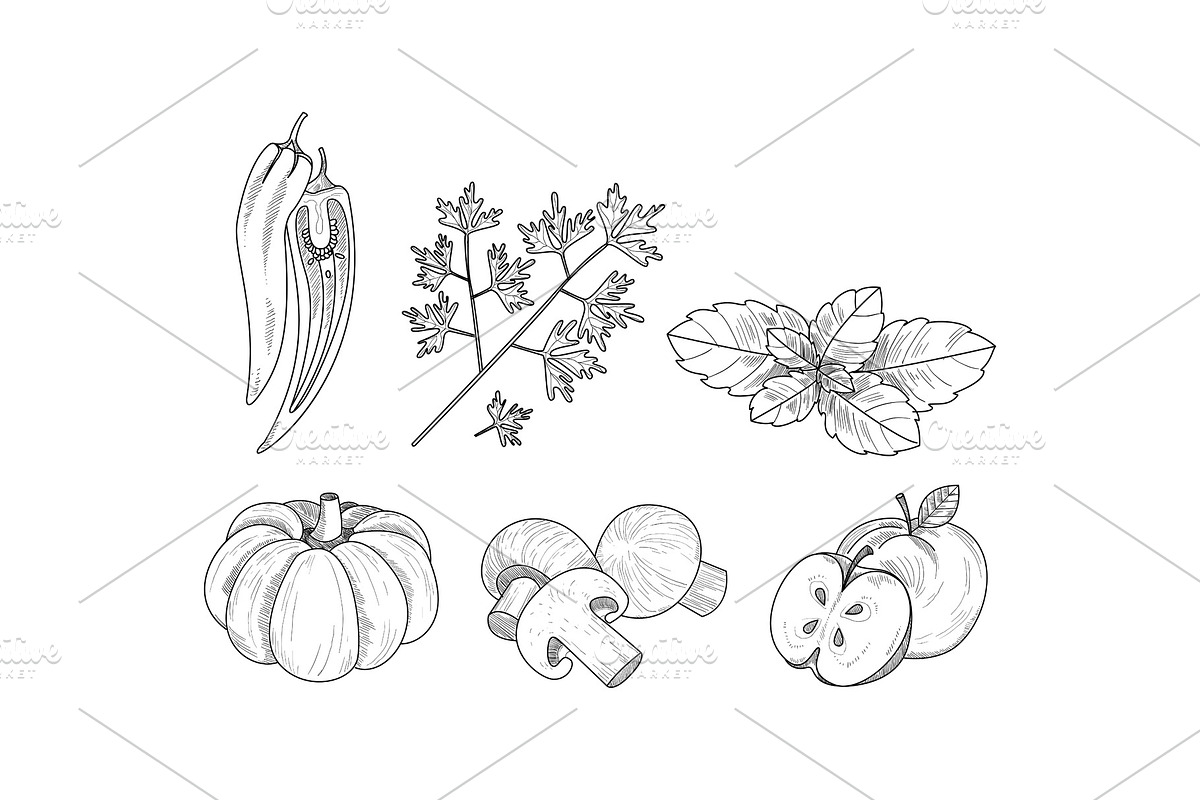 Vector set of vegetables, fruits in Illustrations - product preview 8