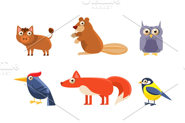 Collection of wild forest animals
