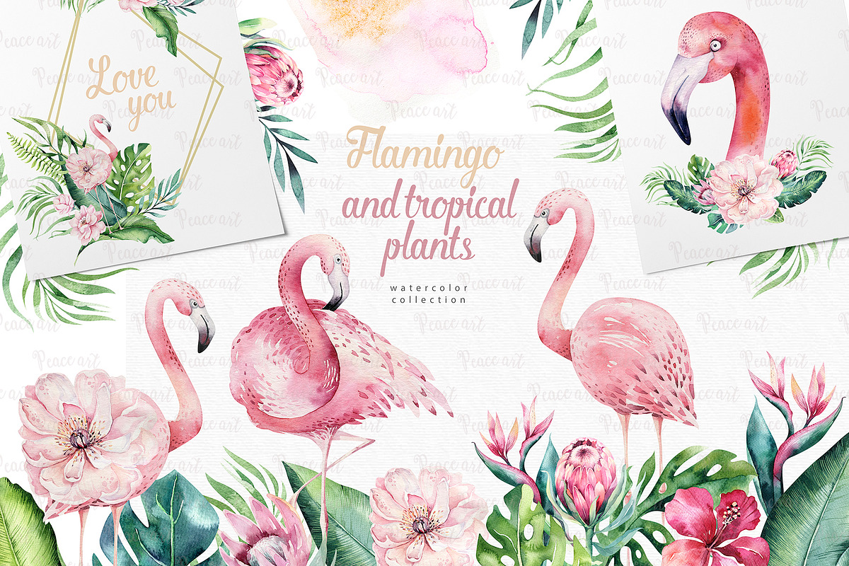 Tropical Flamingo collection in Illustrations - product preview 8