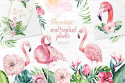 Tropical Flamingo collection