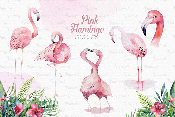 Tropical Flamingo collection in Illustrations - product preview 1