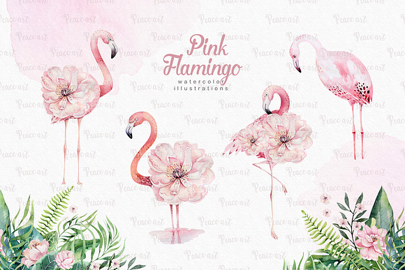 Tropical Flamingo collection in Illustrations - product preview 2