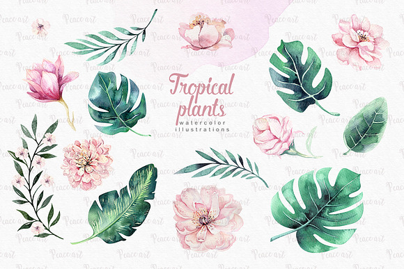 Tropical Flamingo collection in Illustrations - product preview 4