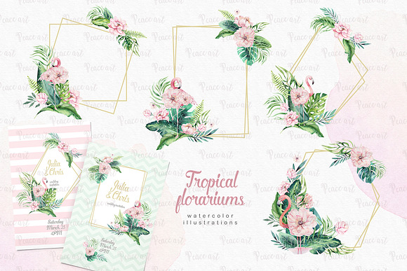 Tropical Flamingo collection in Illustrations - product preview 7