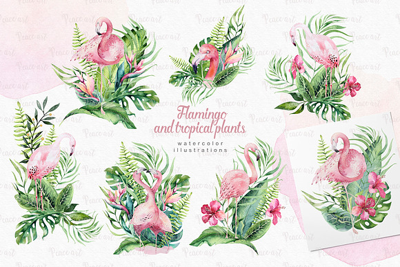 Tropical Flamingo collection in Illustrations - product preview 9