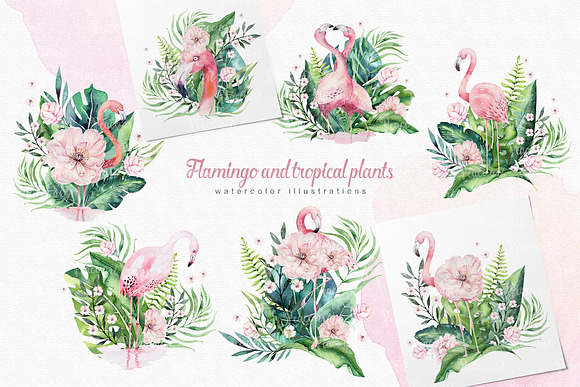 Tropical Flamingo collection in Illustrations - product preview 11