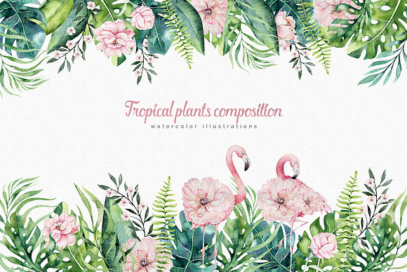 Tropical Flamingo collection in Illustrations - product preview 15