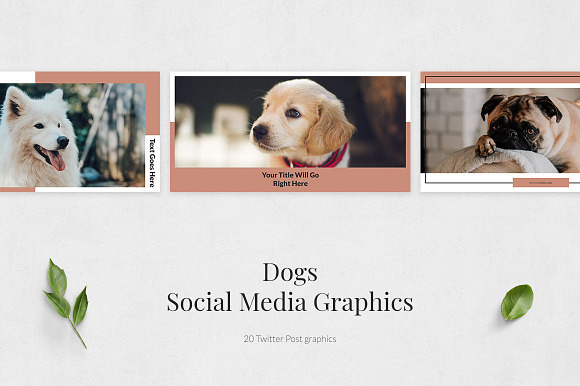 Dogs Twitter Posts in Twitter Templates - product preview 1