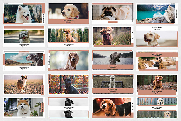 Dogs Twitter Posts in Twitter Templates - product preview 6