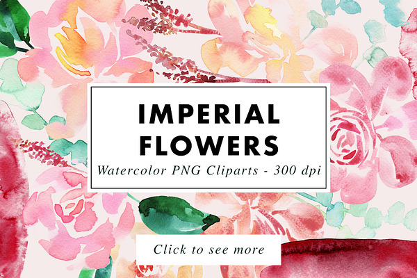 Imperial - 39 Watercolor Floral Set
