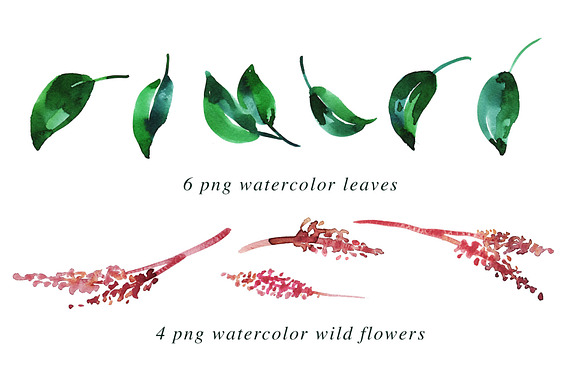 Imperial - 39 Watercolor Floral Set in Illustrations - product preview 2