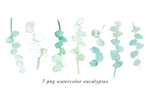 Imperial - 39 Watercolor Floral Set in Illustrations - product preview 3