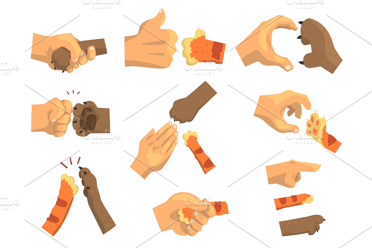 Hand of a man holding animals paw in Illustrations - product preview 8