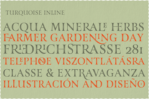 TURQUOISE Inline 50% off in Serif Fonts - product preview 6