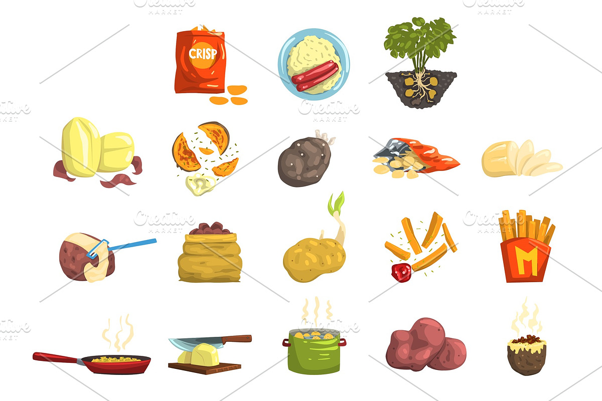 Dishes of potatoes set, raw and in Illustrations - product preview 8