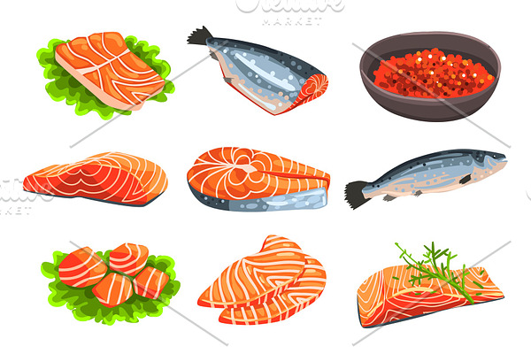 Fresh salmon fish set, fillet