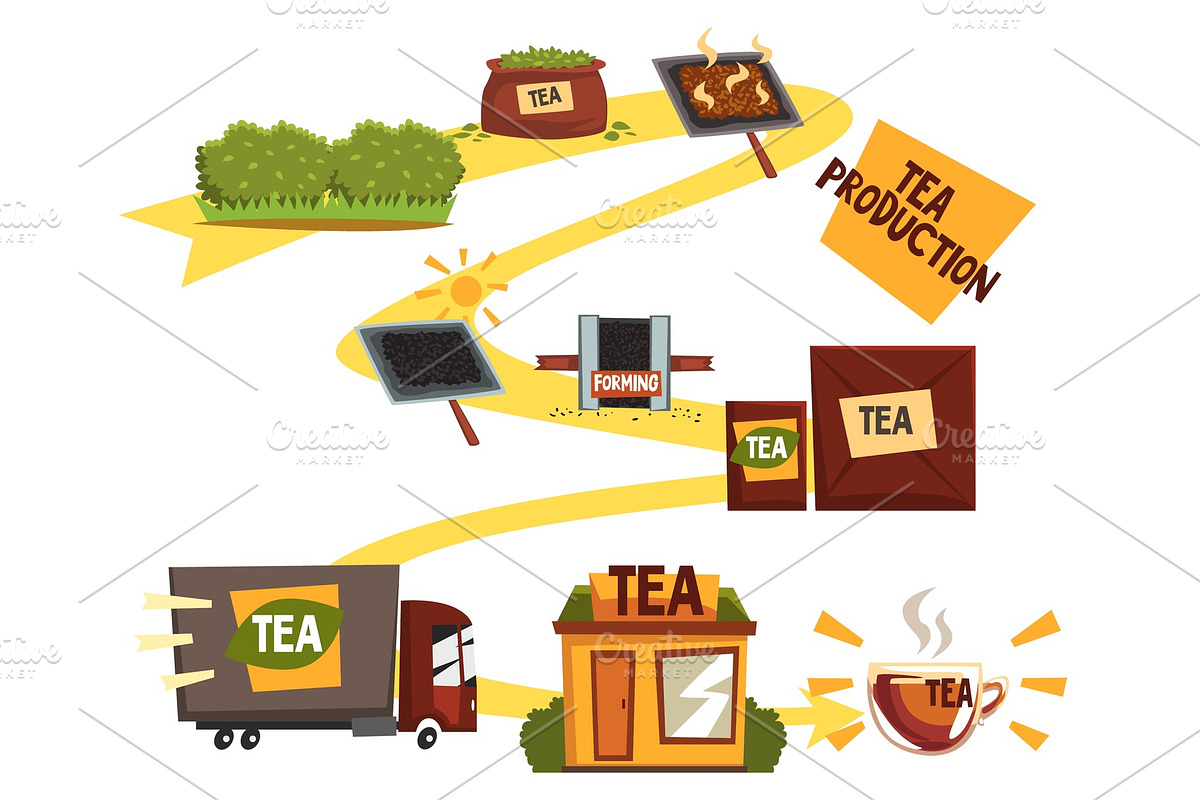 Tea production, tea manufacturing in Illustrations - product preview 8