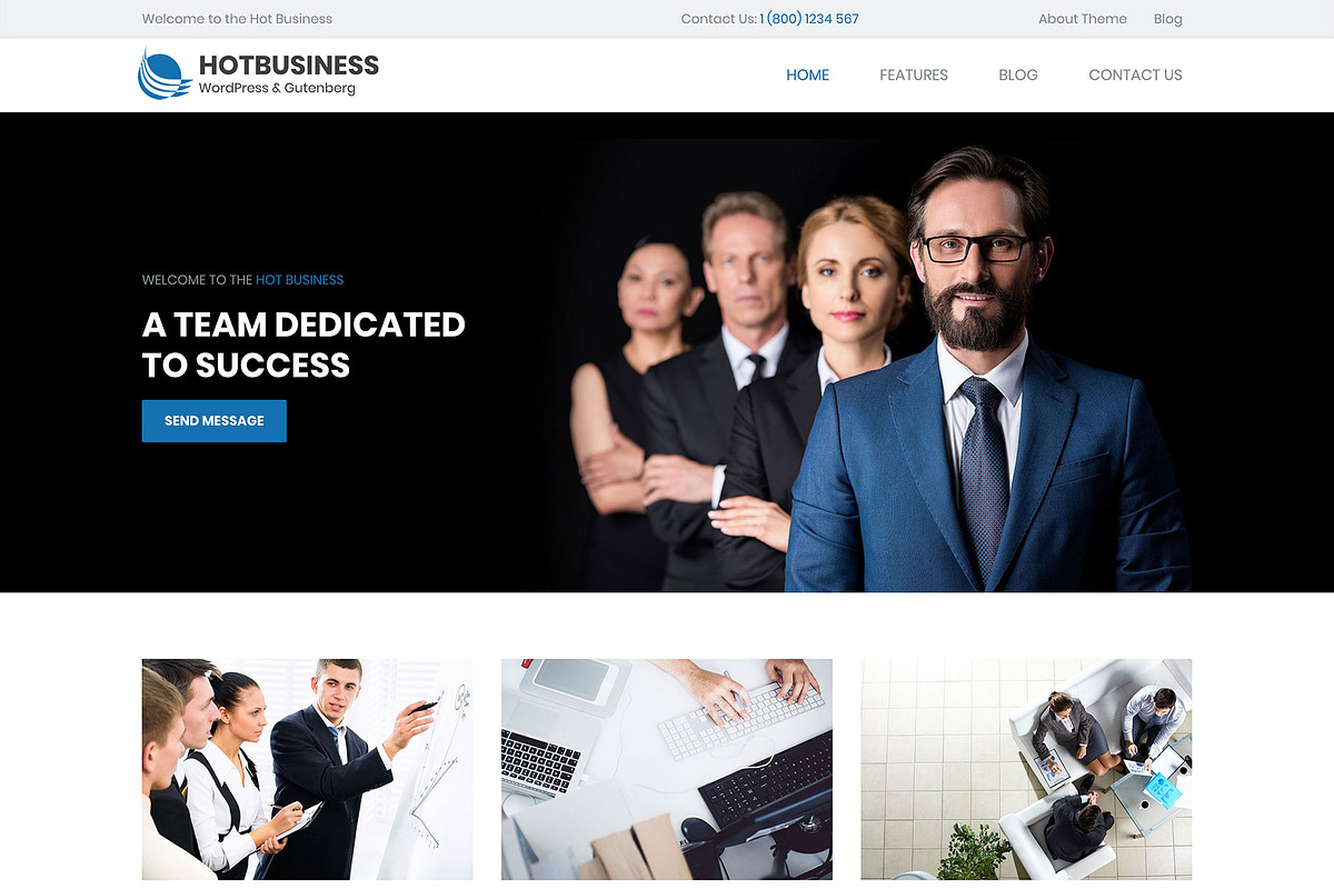 Hot Business in WordPress Business Themes - product preview 8