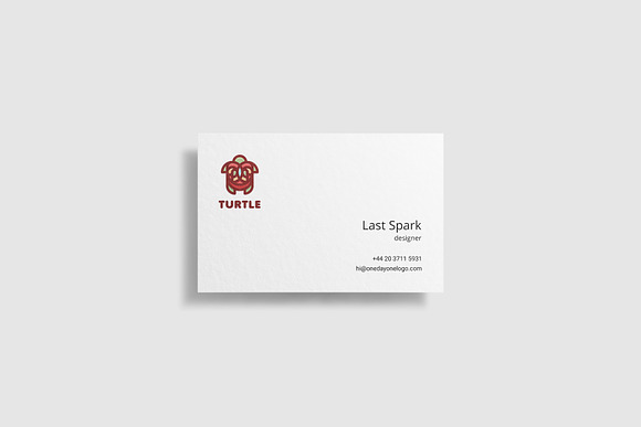 Turtle Logo in Logo Templates - product preview 4