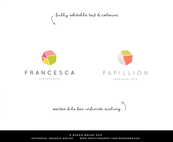 Geometric Hexagon Logo EPS PSD in Logo Templates - product preview 1