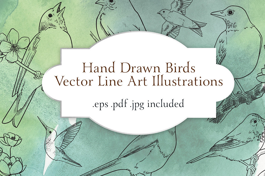 Vector Bird Line Art Illustrations in Illustrations - product preview 8