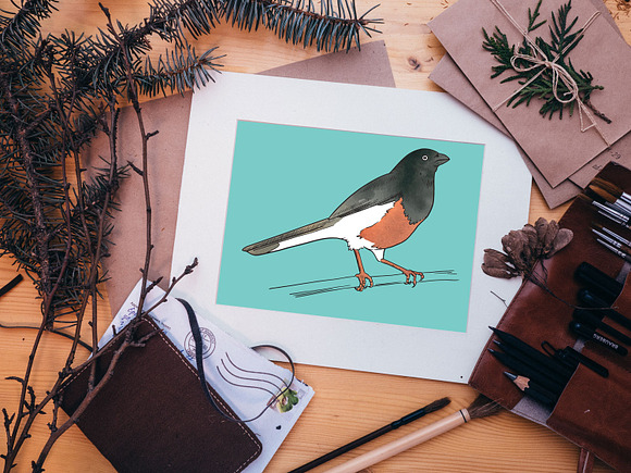 Vector Bird Line Art Illustrations in Illustrations - product preview 2