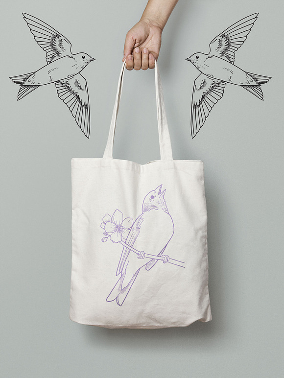 Vector Bird Line Art Illustrations in Illustrations - product preview 3