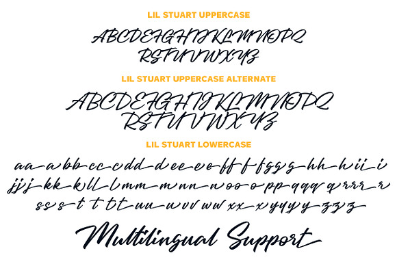 Lil Stuart // Ligature Font in Display Fonts - product preview 9
