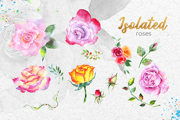 Pink  roses collection watercolor  in Illustrations - product preview 7
