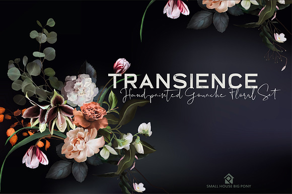 Transience - Hand-painted Gouache in Illustrations - product preview 1