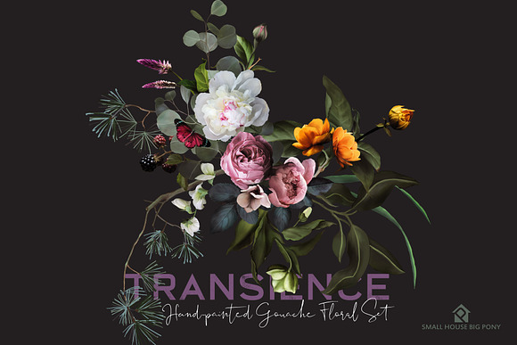 Transience - Hand-painted Gouache in Illustrations - product preview 2
