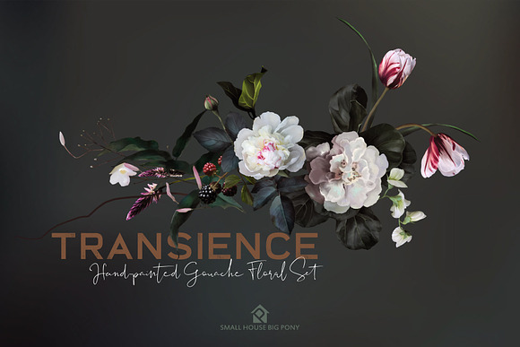 Transience - Hand-painted Gouache in Illustrations - product preview 4