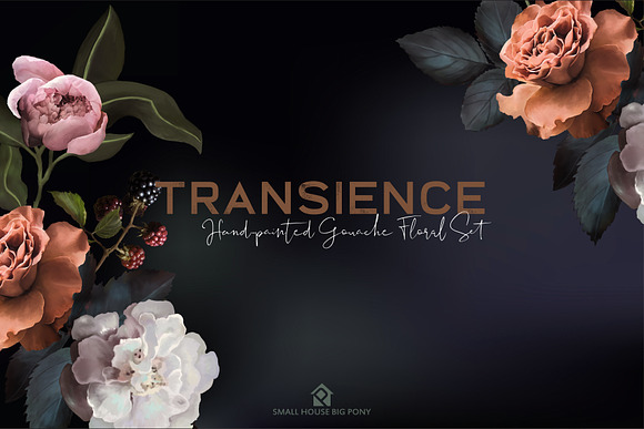 Transience - Hand-painted Gouache in Illustrations - product preview 6