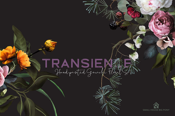 Transience - Hand-painted Gouache in Illustrations - product preview 7
