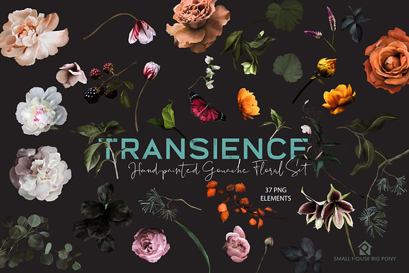 Transience - Hand-painted Gouache in Illustrations - product preview 8