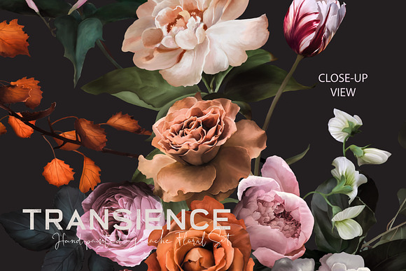Transience - Hand-painted Gouache in Illustrations - product preview 9
