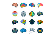 Human brain collection. Creative