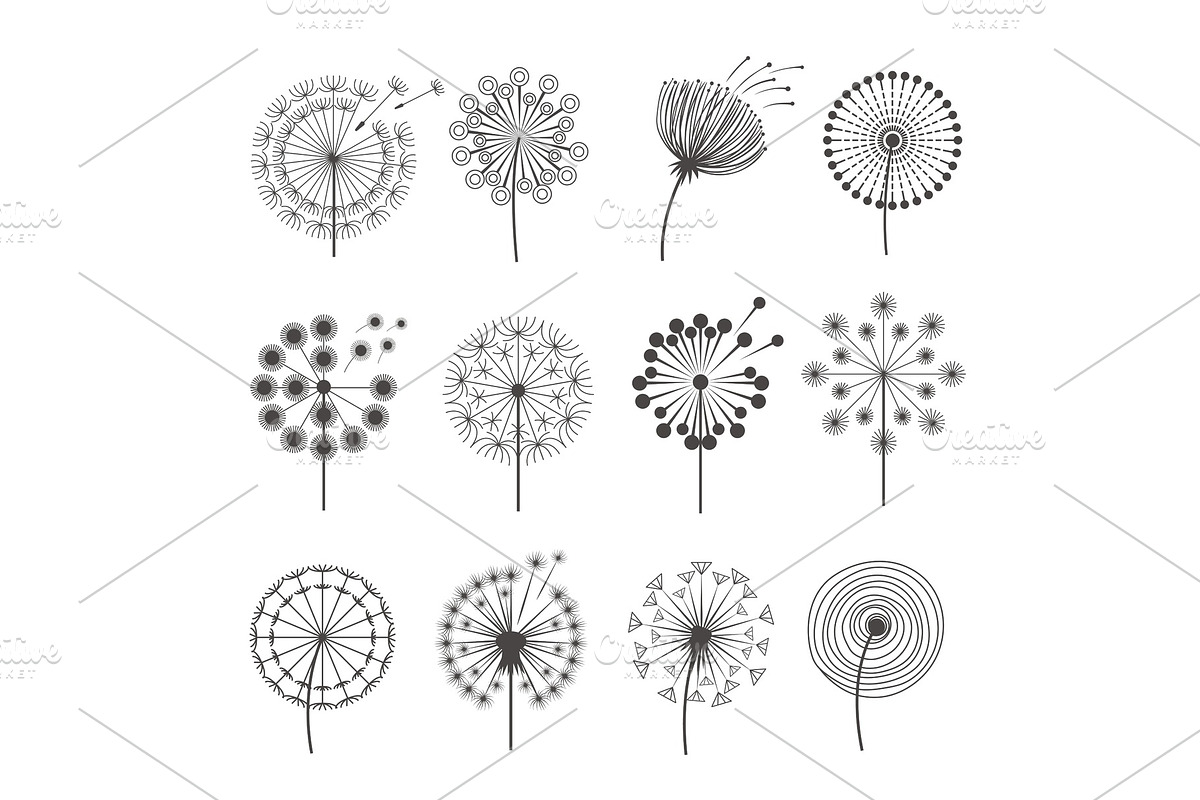 Dandelion icon. Botanical pictures in Graphics - product preview 8