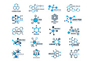 Molecular logotypes. Evolution