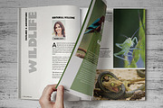 Wildlife Magazine Template