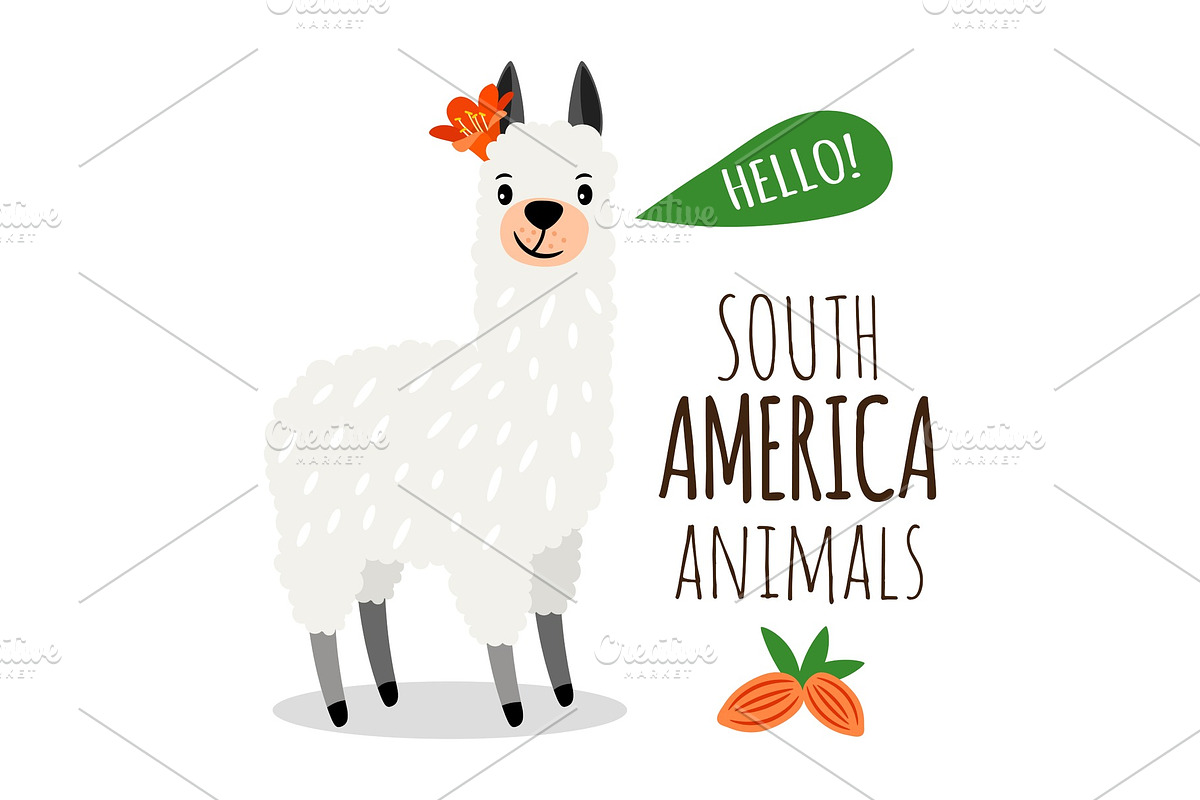 Cute alpaca isolated on white in Illustrations - product preview 8